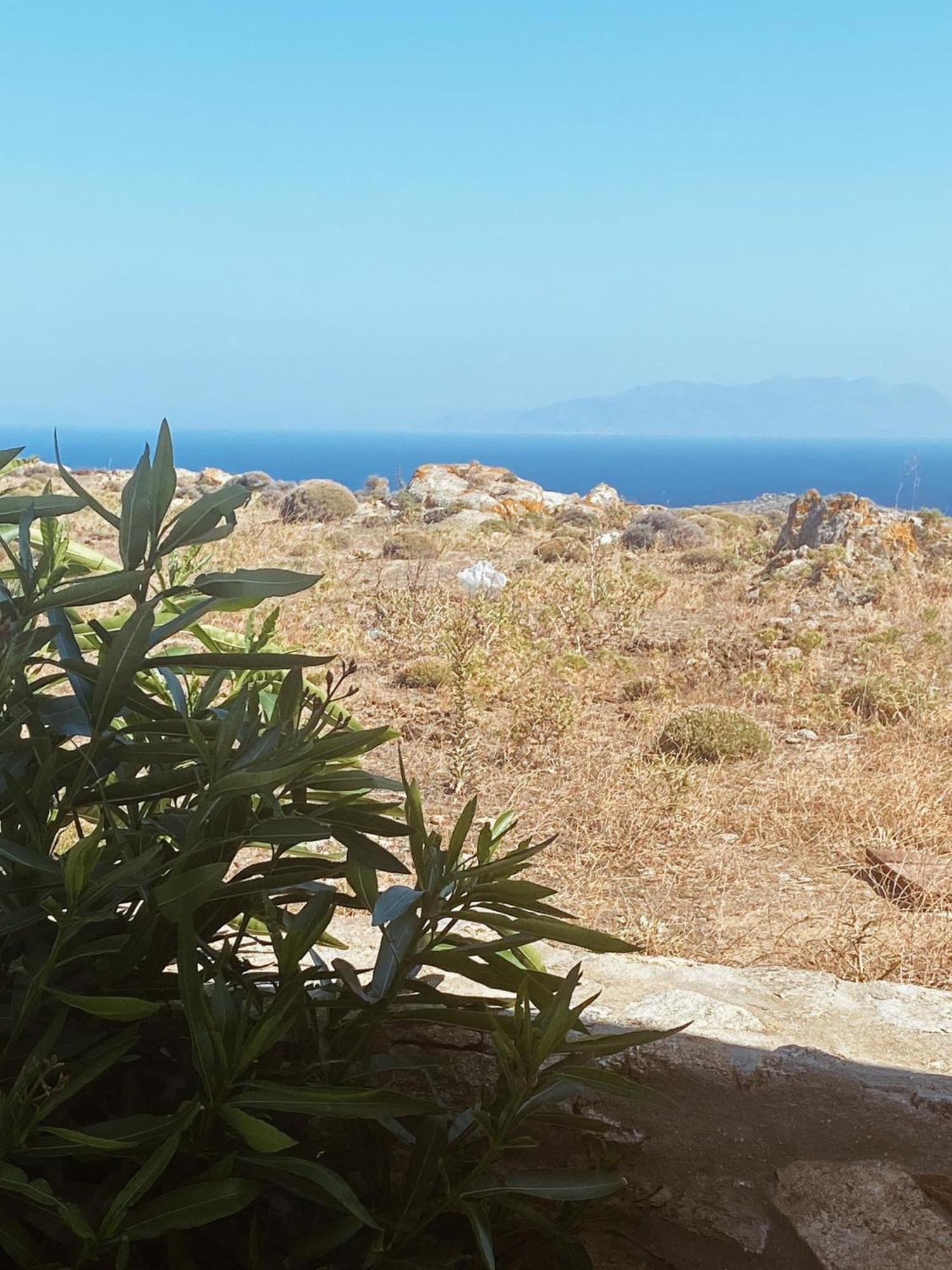 Naira Family Suites Mykonos Mykonos Town ภายนอก รูปภาพ