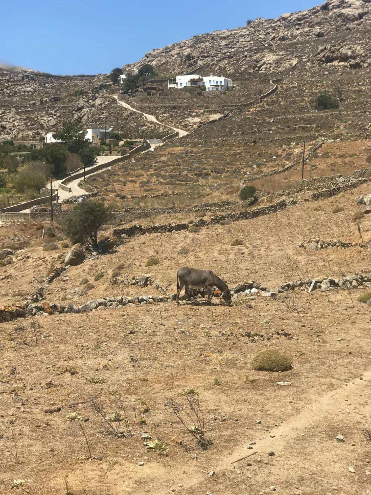 Naira Family Suites Mykonos Mykonos Town ภายนอก รูปภาพ